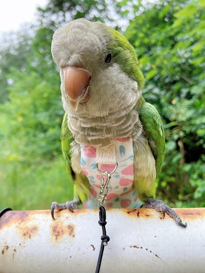 Bird Diaper Harness Flight Suit Clothes, Parrot Flight Suit with Leash, Bird Flying Clothes with Rope and Handle for Outdoor Activities Training (Pink with Leash,Large)