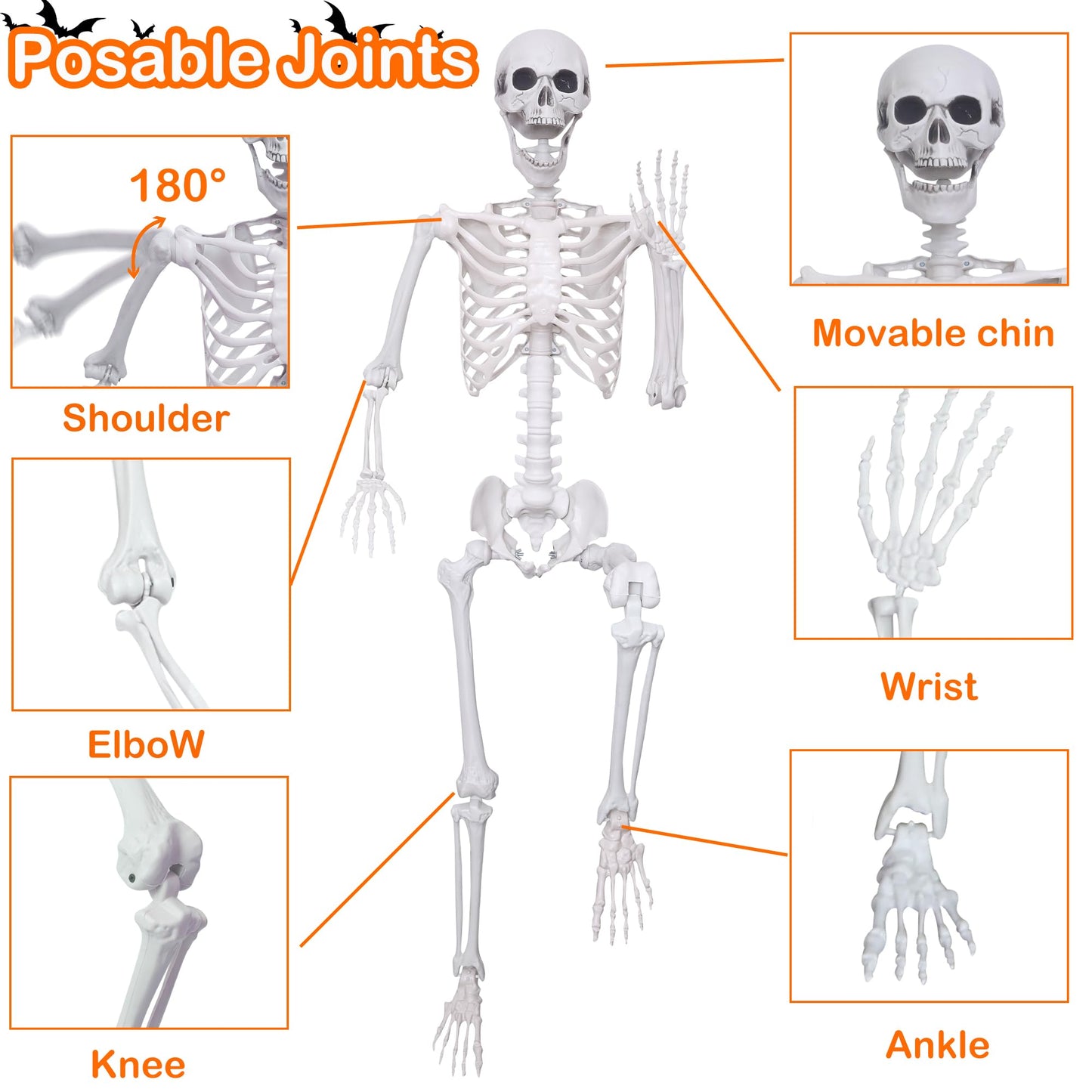 LOSFOTBO 5.4ft/165cm Halloween Skeleton with Realistic Crows Full Body Plastic Human Bones with Movable Joints for Indoor Outdoor Halloween Decor