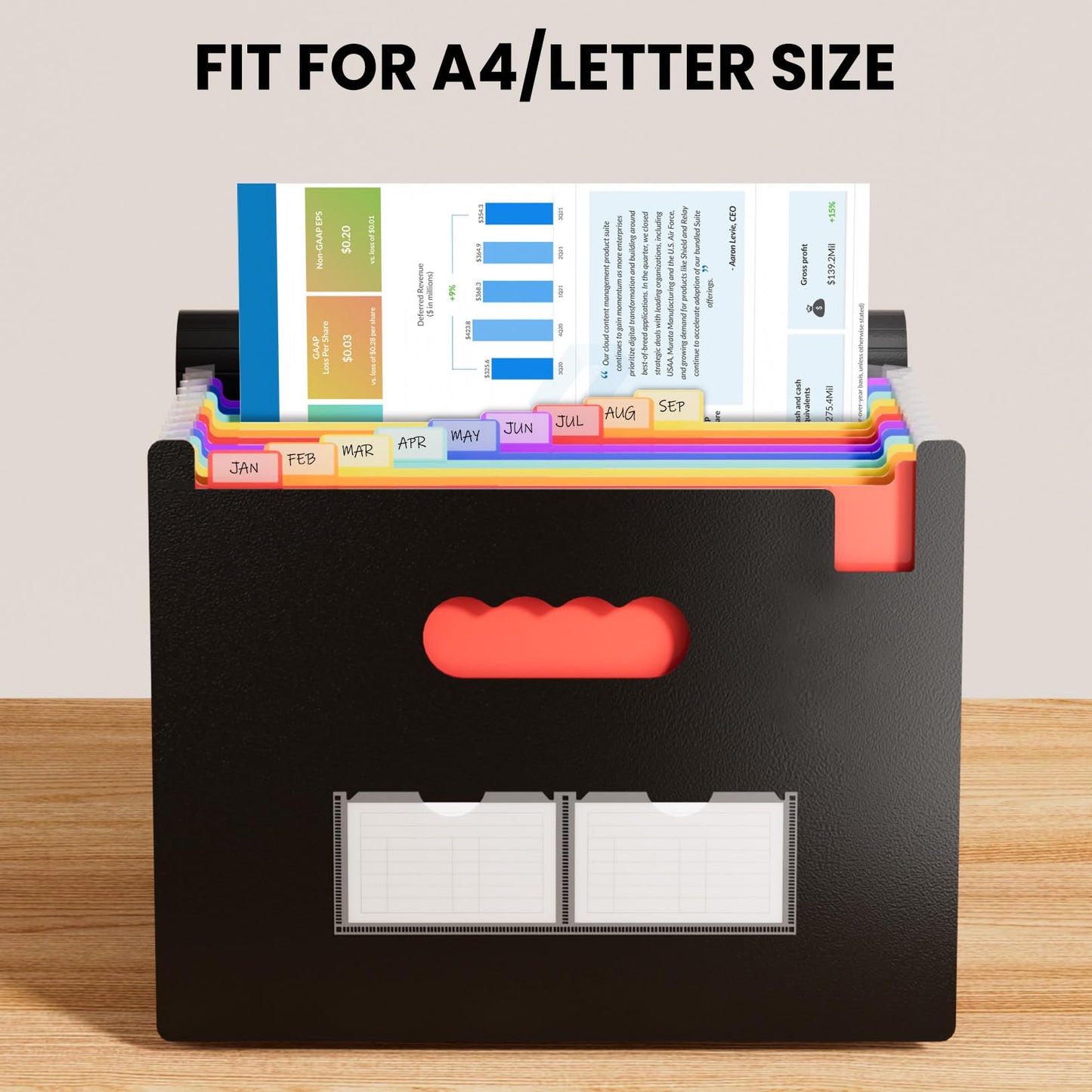 Sooez Accordion File Organizer, 13 Pockets Expanding File Folder, Portable Monthly Paper Bill Tax Receipt Organizer, Letter A4 Size Document Holder with Blank Labels, Black