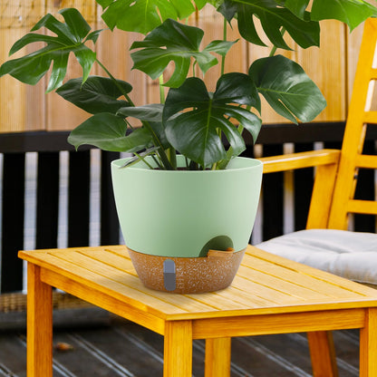 QRRICA 12/10/9 Inch Self-Watering Plant Pots with Water Level Indicator, Drainage Holes & Saucers – Large Plastic Planter Set for Indoor & Outdoor Plants (Green)