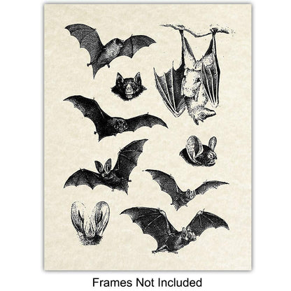 Bats Wall Decor - Bat Decorations - Bat Decor for Home - Creepy Gothic Wall Art - Goth Picture - Pagan Gifts - Gothic Artwork