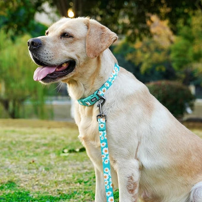 Dog Collar and Leash Set, Cute Daisy Pattern, Polyester Material, 5ft Leash, for Medium Dogs.(Medium,Green Daisy)