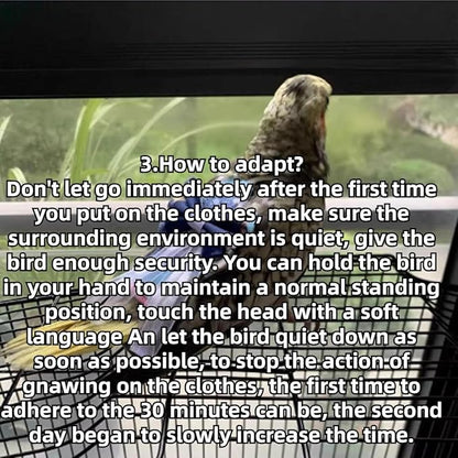 Bird Diaper Cockatiel Clothes Flight Suite, Reusable Parrot Nappy with Waterproof Inner Layer, Cute Pigeon Pants Urine Wet Suit Costume for Conure Macaw (Pink,2XL)