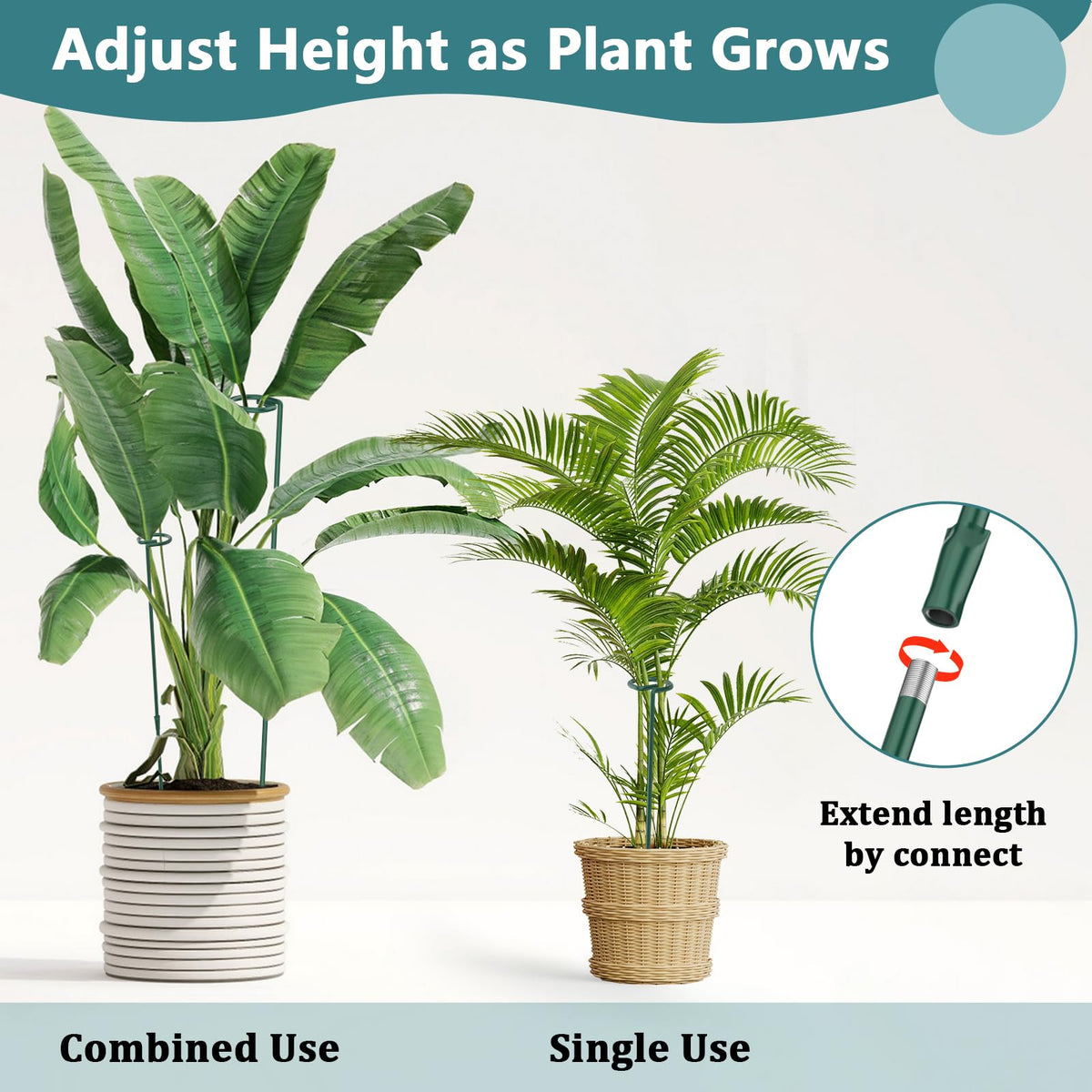 Plant Stakes for Indoor Outdoor Plants, 6 Packs 31.5 inches Plant Support Stakes with Twist Ties and Clips, Climbing Plant Sticks Garden Flower Stakes Support Hoops for Tomato, Pepper, Peony