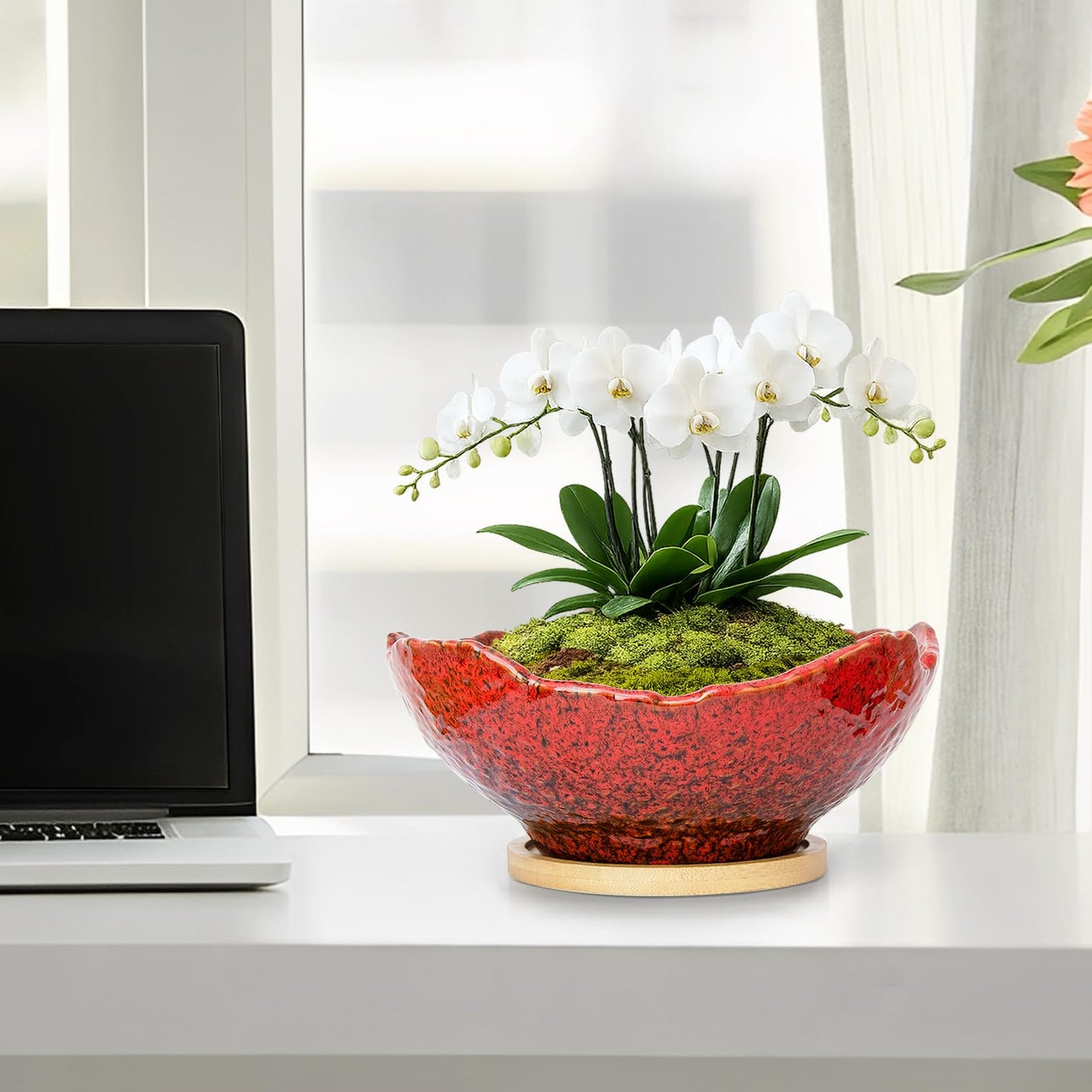 ARTKETTY Bonsai Pots - 9.06'' Ceramic Pots for Indoor Plants, Large Succulent Pots with Drainage Bamboo Tray, Unique Bonsai Tree Planters Round Cactus Flower Plant Container Bowl Home Office Decor