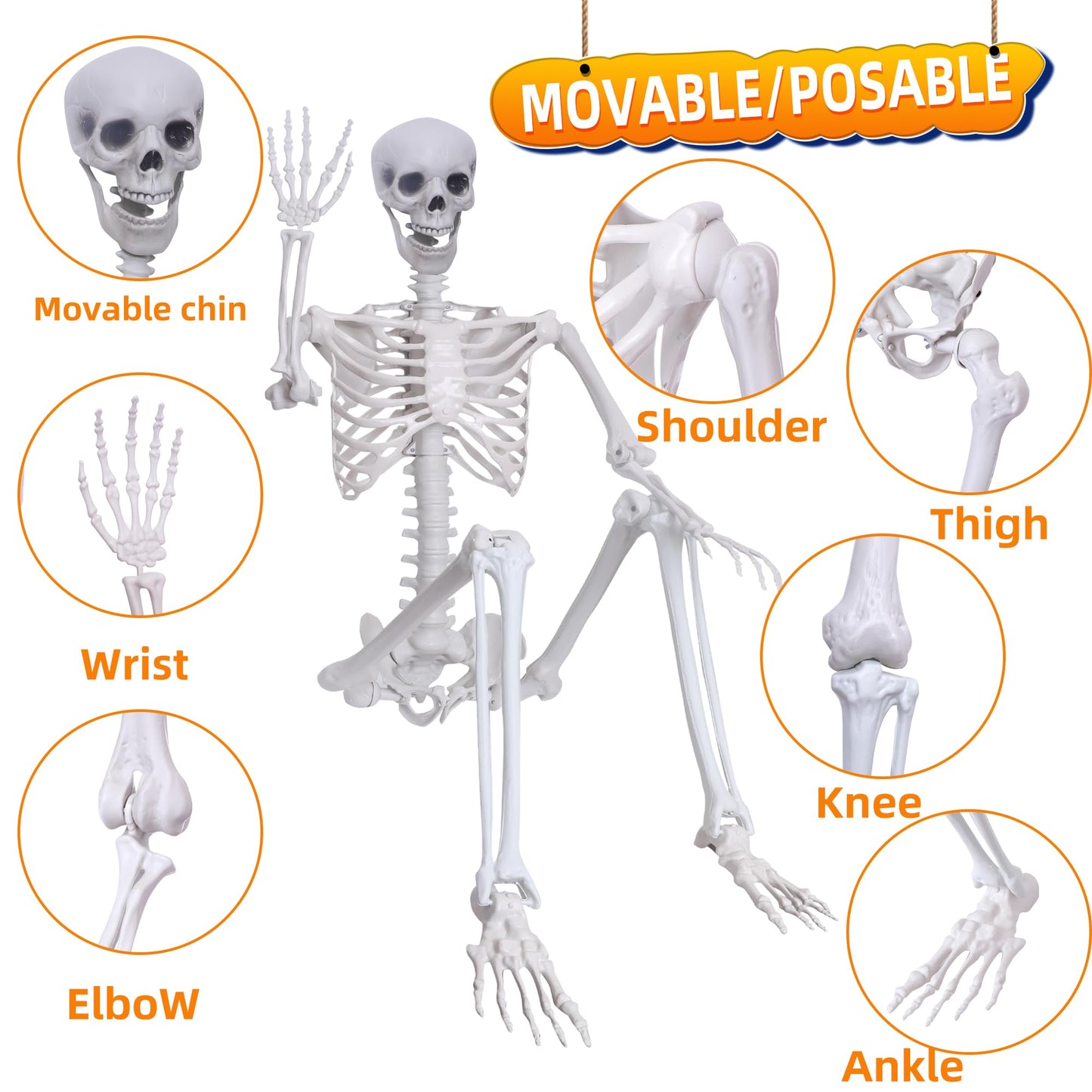 5.9Ft Halloween Life Size Skeleton Posable Skeleton Full Body Plastic Human with Adjustable Joints for Outdoor Indoor Halloween Decoration