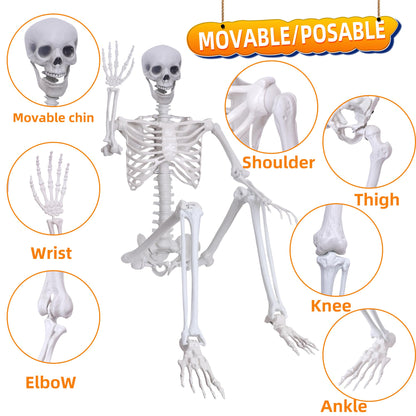 5.9Ft Halloween Life Size Skeleton Posable Skeleton Full Body Plastic Human with Adjustable Joints for Outdoor Indoor Halloween Decoration