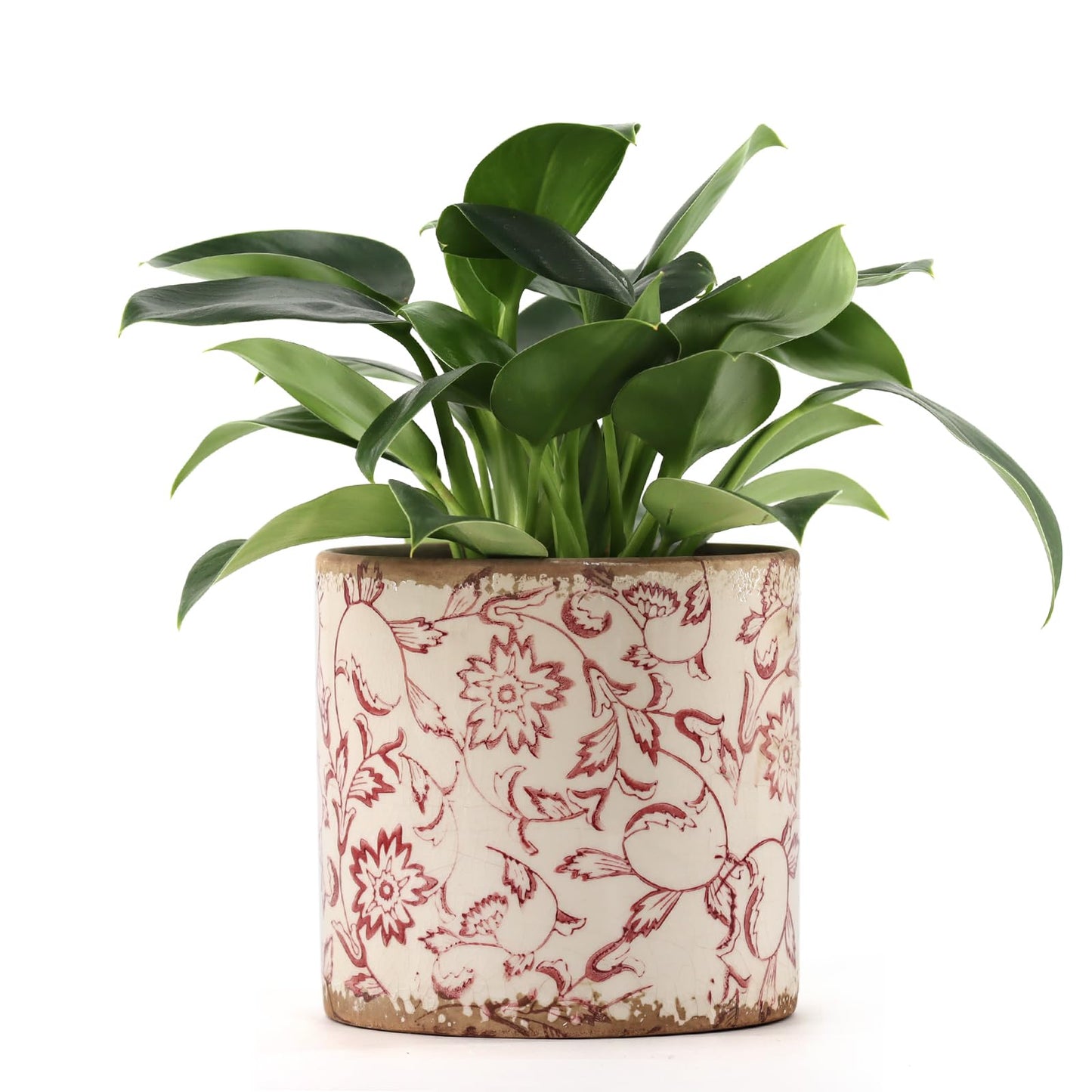 Meltset M Ceramic Planter for Indoor Plant,5 inch Plant Pot with Drainage Small Ceramic Pots Decorative Unique Planter Red for Orchid Succulent Outdoor, Crackle Glaze Finish, Gardening Gift