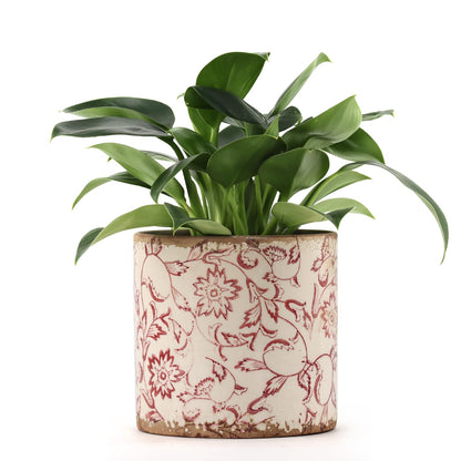 Meltset M Ceramic Planter for Indoor Plant,5 inch Plant Pot with Drainage Small Ceramic Pots Decorative Unique Planter Red for Orchid Succulent Outdoor, Crackle Glaze Finish, Gardening Gift