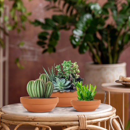 Laerjin Clay Pots for Plants with Drainage Hole, 4 Pack Large Terra Cotta Plant Pot, 7.67 Inch Terracotta Pot Ceramic Pottery Planter Cactus Flower Pots