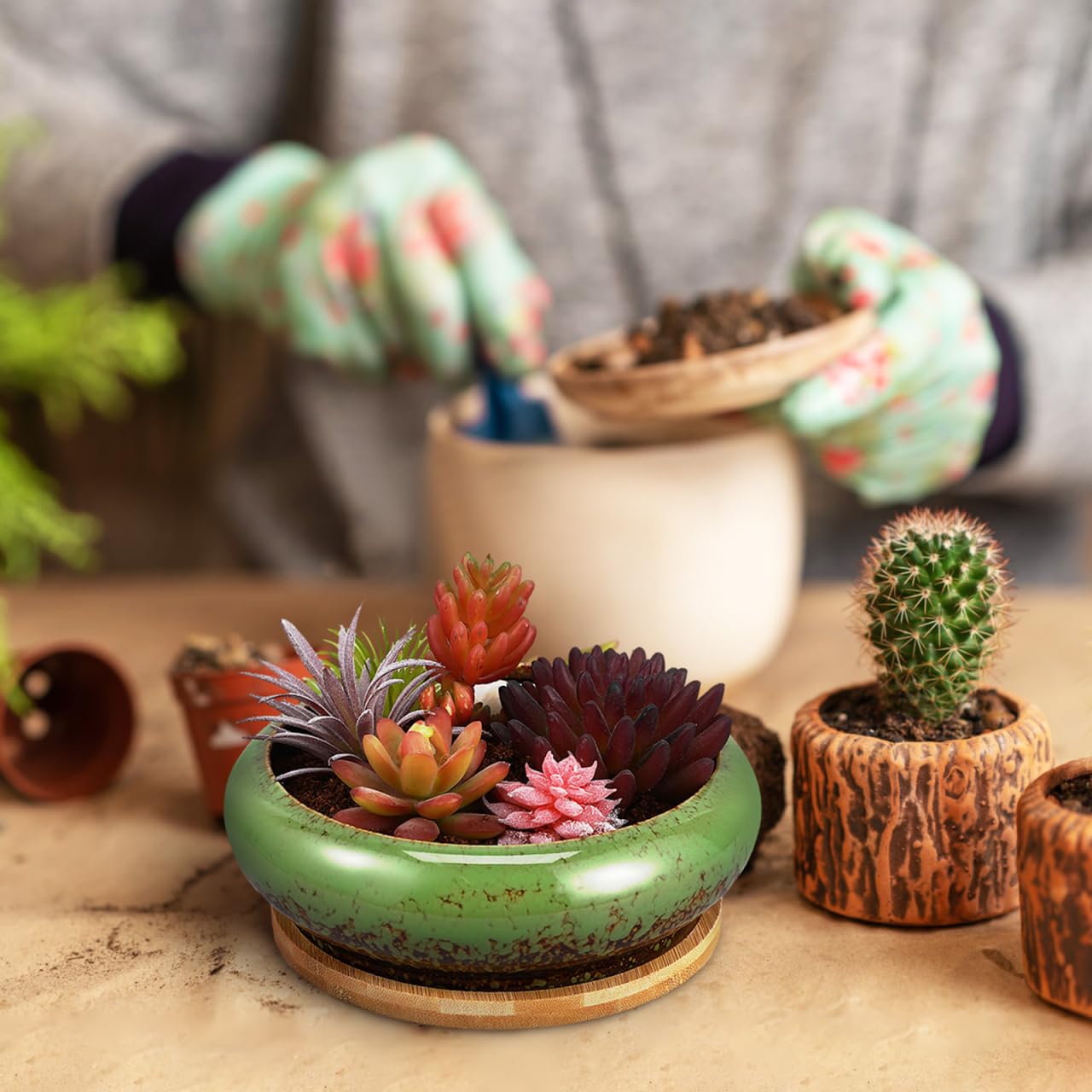 NOLITOY 7 Inch Ceramic Succulent Planter Bowl with Drainage Hole and Tray, Green Round Shallow Flower Pot for Indoor Cactus Arrangements and Office Desk Decor