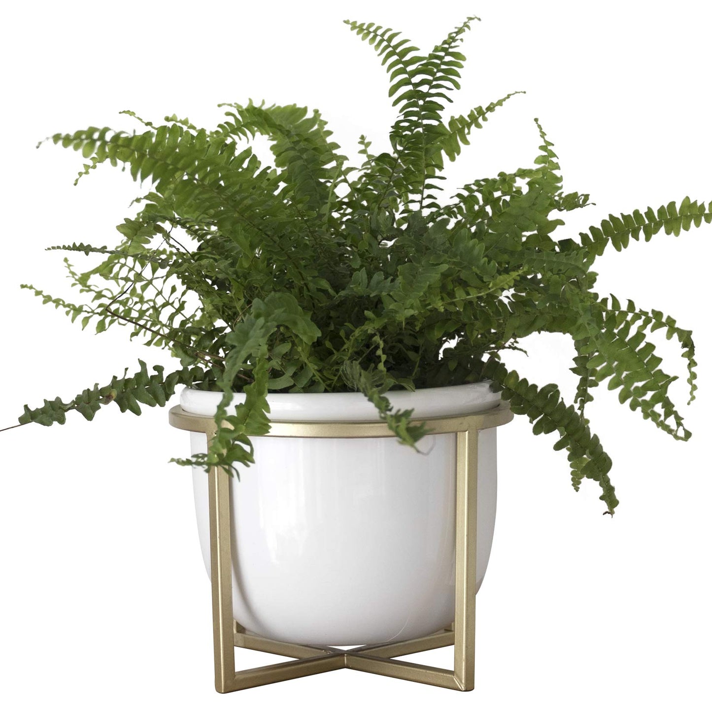 LA JOLIE MUSE Ceramic Flower Plant Pot with Stand - 6.7 Inch White Indoor Planter Pot with Gold Metal Stand for Herbs Orchids Cacti Succulents