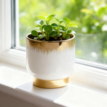 NEONWE White Ceramic Planters, Gold Flower Pots for Indoor Plants with Drainage Holes, Modern Round Planter with Drainage Holes - Plant Not Included 4.33 X4.33 Inch