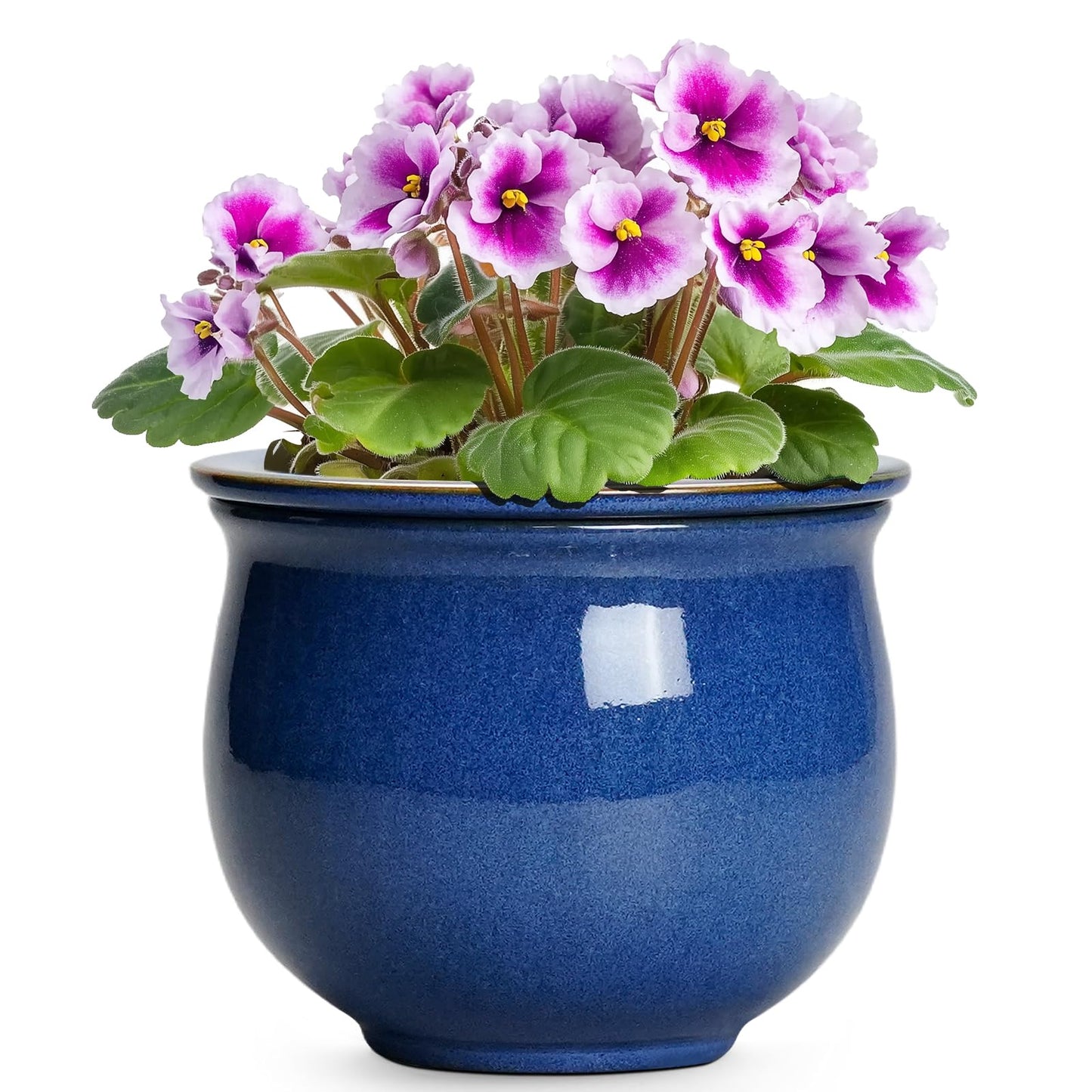 Teagas 6 Inch Self Watering Pots, Ceramic African Violet Planter with Absorbent Inner Pot, Round Flower Pot for Indoor Plants, Ceramic Pots for Plants, Room Home Decor, Plant Lover Gifts, Blue