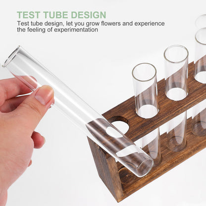 GLEAVI Glass Test Tube Vase Hydroponic Planter Large Glass Container for Water Planting and Air Plant Terrarium Home Décor
