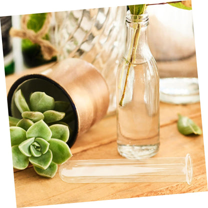 STAHAD Glass Hydroponic Vase Plant Propagation Tubes 5pcs 2.5x3x15cm Test Tubes for Small Terrarium Plants Home Desk Decoration