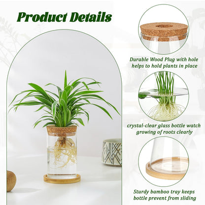 Anboliwb 6 Pcs Plants Propagation Stations Glass Planter Terrariums with Wooden Lid and Bamboo Stand Desktop Propagation Vases Jars for Plant Growing Hydroponic Home Office Tabletop Garden Decoration