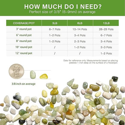 NUPICK 3 lbs Pebbles for Indoor Plants, 3/8 Inch Pea Gravel for Fish Tank, Polished Decorative Rocks for Succulent, Natural River Stones for Vases, Cactus, Landscaping, Bird Bath, Aquarium, Jade