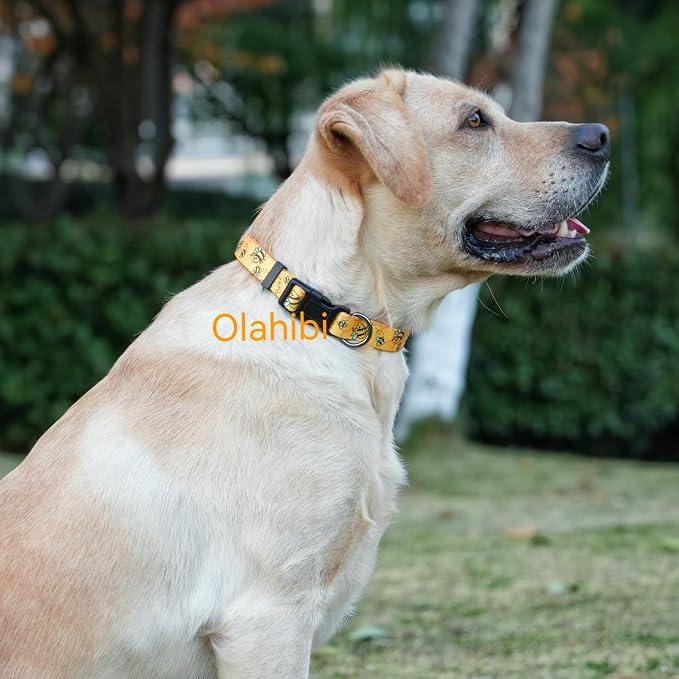 Dog Collar Leash Set, Busy Bee Pattern, 5ft Matching Leash, Polyester Material, 4 for Small Medium Large Dogs.(S, Bee)