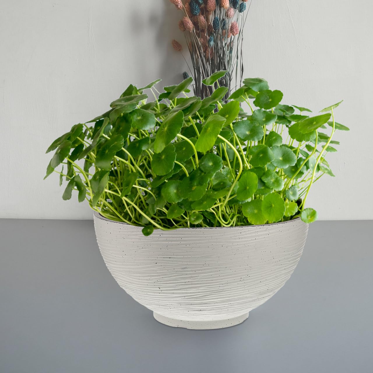 Housoutil Hydroponic Flower Pot 13.77 Inch White Quartz Desktop Planter for Water Lily Succulents Bonsai Indoor Outdoor Garden Decoration