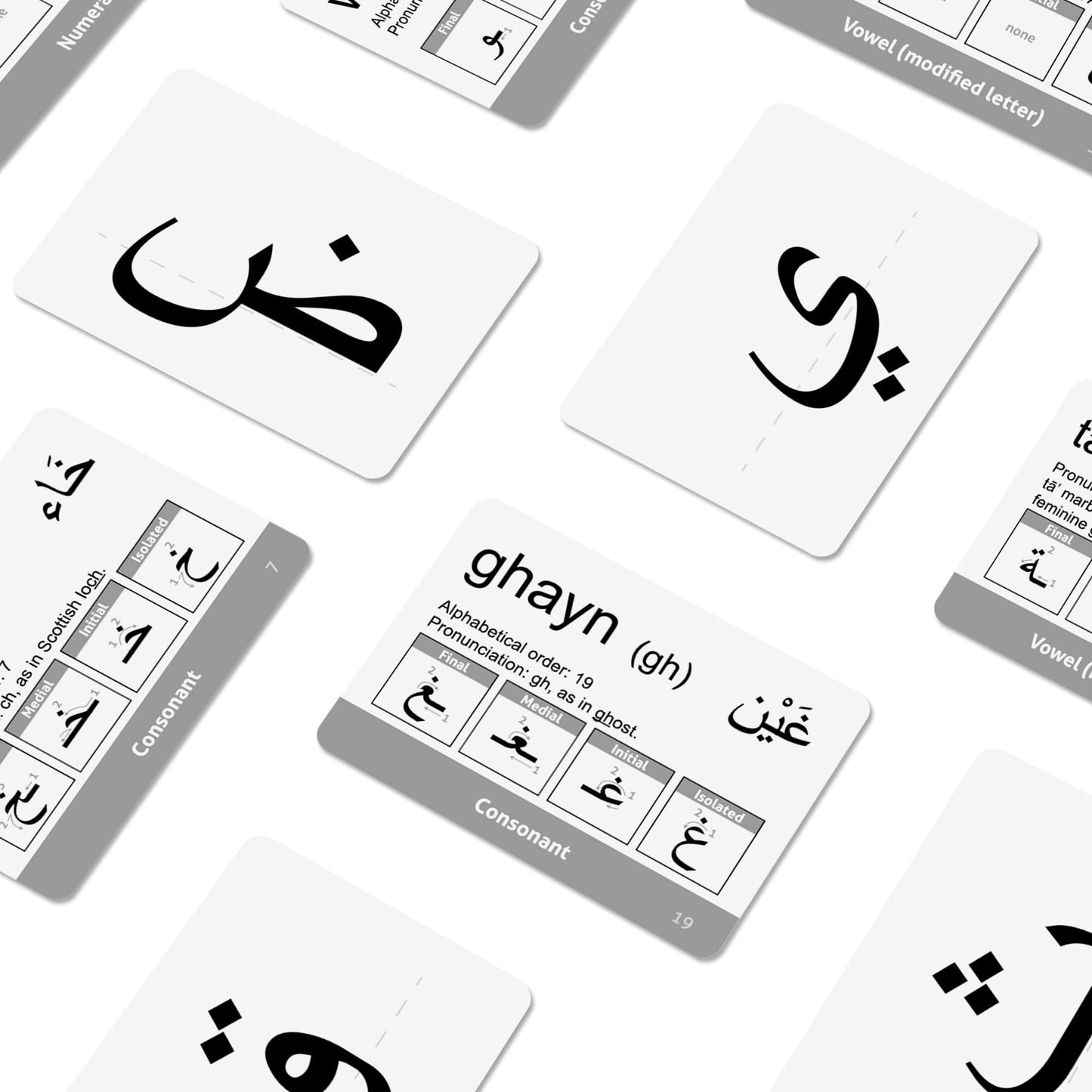 CARDDIA | Arabic Alphabet Educational Flashcards | Includes Consonants, Vowels, Diacritics and Numerals | Ideal for Arabic Language Beginners