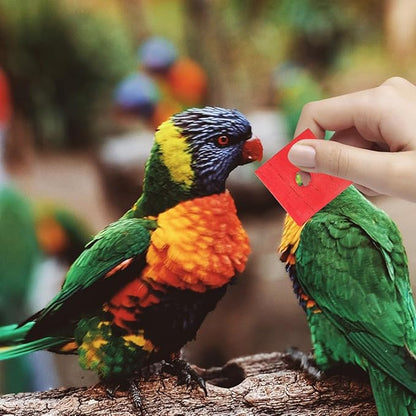 DECHOUS 100Pcs Bird Toys Wooden Blocks Parrot Toys Multicolored Natural Bird Wood Chewing Chips for Conures Parakeets Cockatiels Lovebirds African Grey Macaws Cage Fun