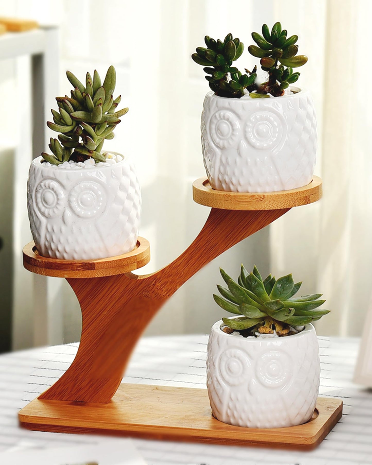 FLOWERPLUS Planter Pots Indoor, 3 Pack 3 Inch White Ceramic Decorative Small Owl Succulent Cactus Flower Plant Pot with Tree Tier Bamboo Stand for Garden Kitchen Home Office Desk Decorations