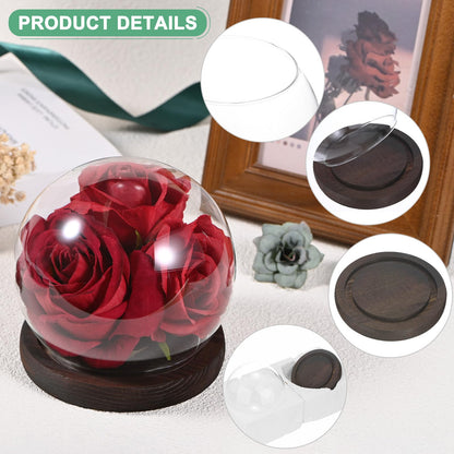 M METERXITY Cloche Glass Dome, D4.7In Ball Jar with Wooden Base for DIY Snow Globes/Small Plants/Flowers/Candles/Models/Souvenirs, Glass Display Case [White]