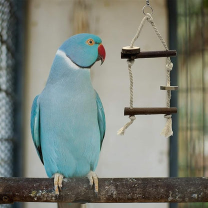 EBaokuup Bird Parrot Perch Set - 10PCS Natural Wood Parakeet Stand, Fork, Rod, Paw Grinding Stick for Budgies, Cockatiels, Conure, Lovebirds