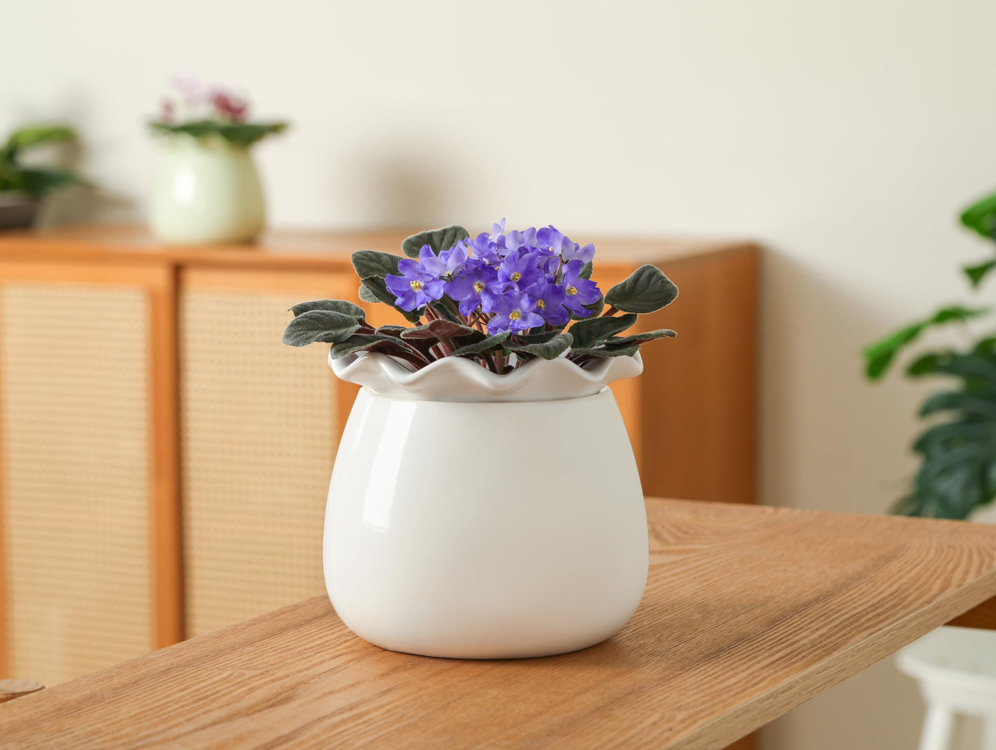 Fayoula Self Watering Plant Pot, 6 Inch African Violet Pots Maintenance, Ceramic Self-Watering Planter for Indoor Plants - Ideal Flower Pot for Thriving Indoor Gardens, White