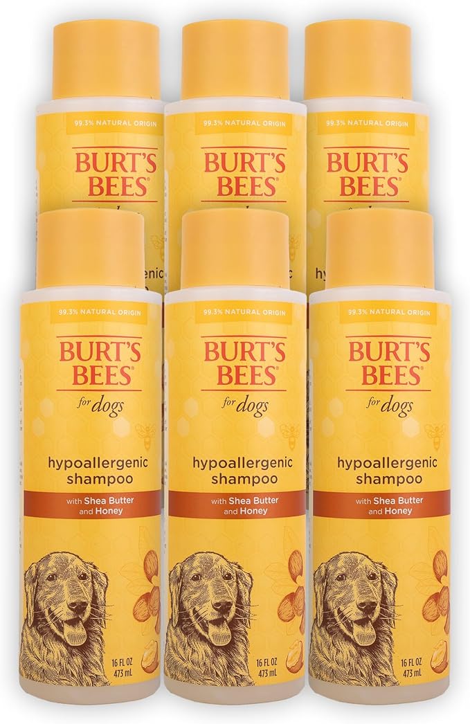 BURT'S BEES FOR PETS Hypoallergenic Dog Shampoo with Shea Butter and Honey, Gentle Fragrance Free Shampoo for Sensitive Dogs with 95% Natural Origin Skin and Coat Formula, 16 Fl Oz - 6 Pack