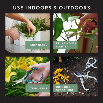 Modern Sprout Pruning Shears - Herb Snipping Scissors- Lightweight Gardening Tools W/Easy Lock - Flower Cutter Garden Shears - Carbon Steel Blade + Plastic-Free Reusable Holster (Multicolor 4 Pcs)