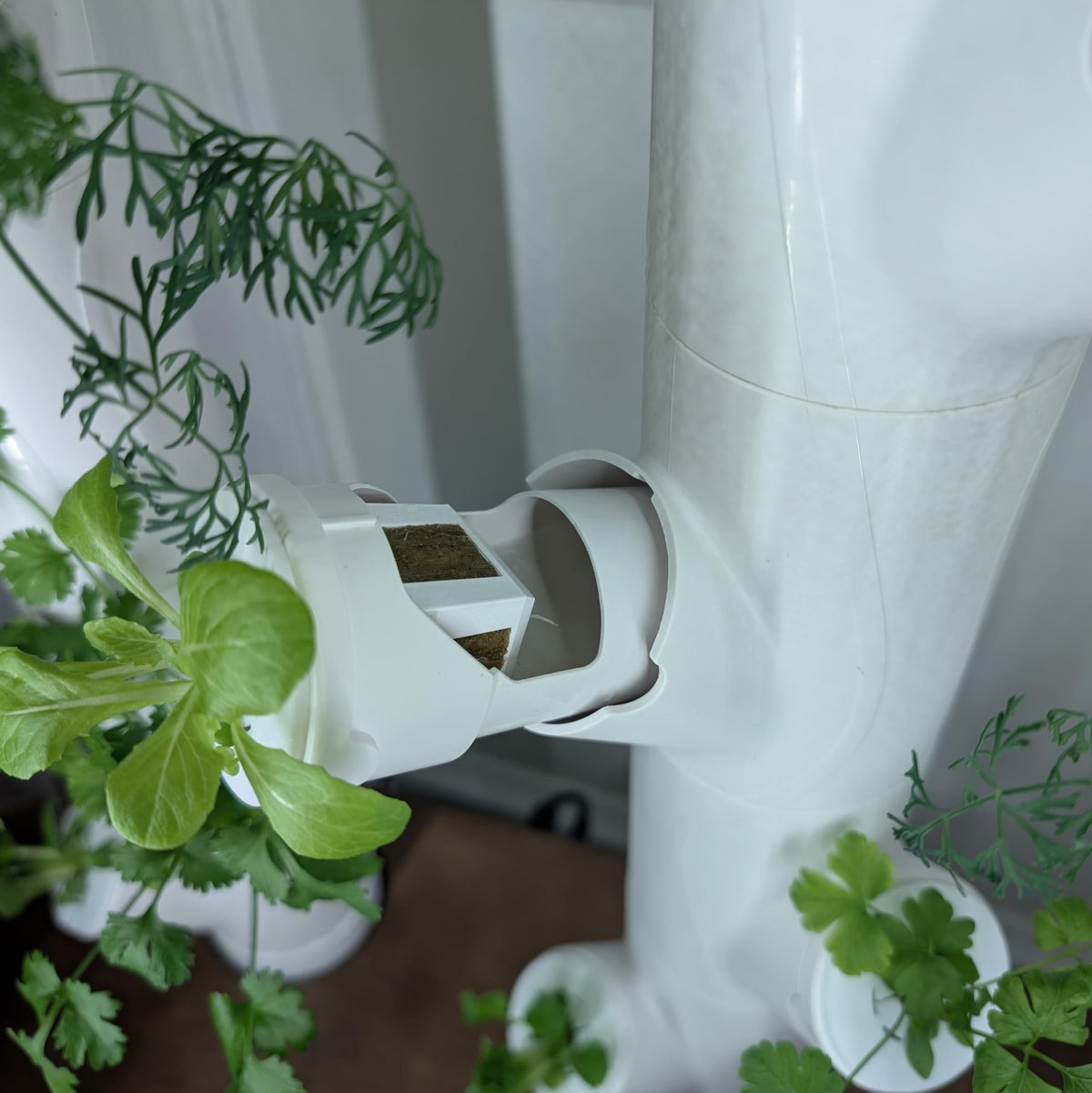 Grow Cubes for Hydroponic System/Compatible with Gardyn (15 Cubes+Rockwool)