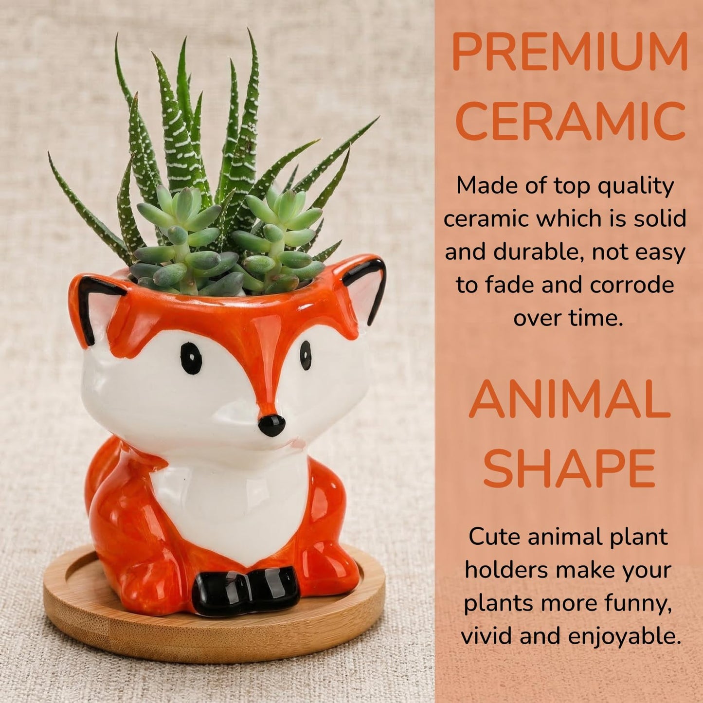 Pumtus 6 Pack Small Succulent Pots with Drainage Hole, 3 Inch Cute Ceramic Animal Planter with Saucer, Unique Air Plant Holder, Desktop Plant Flower Pot for Indoor Plants, Cactus, Garden, Home Decor