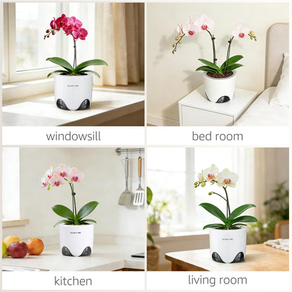 Meshpot 5 inch Orchid Pots with Holes for Repotting with Excellent Airflow, Set of 1, Double Layer Plastic Imitate Ceramic Orchid Planter, Clear Orchid Pot Match Decorative Orchid Container