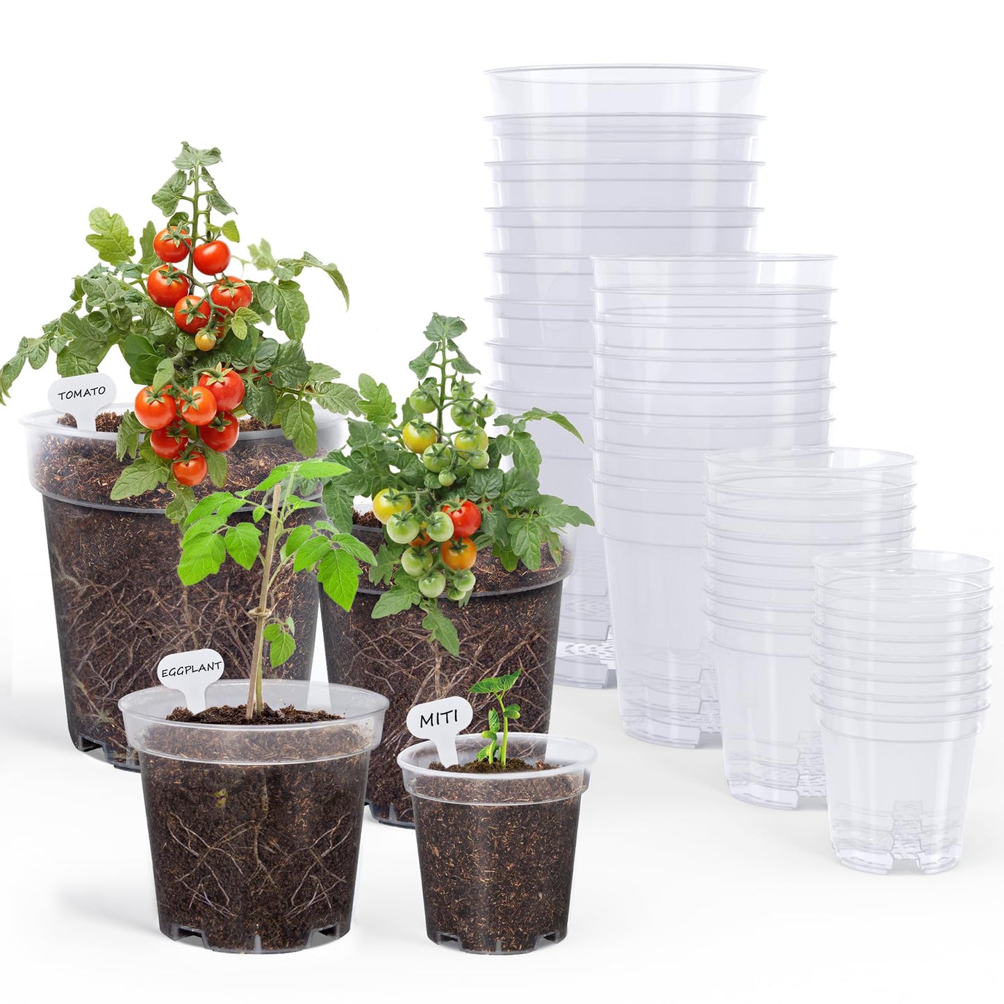 homenote Clear Nursery Pots for Plants,3/4/5/6.7 Inch Plant Pot for Planting Plastic Seedling Pots with Drainage Holes Seed Starter Pot Flower Pots High Transparency with 20 Plant Labels (36 Pack)