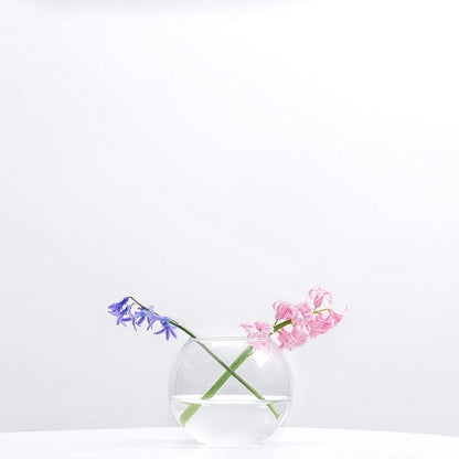 WGV Bowl Glass Vase, Diameter 6", Height 5", Open Width 4", (Multiple Sizes Choices) Clear Bubble Planter Terrarium Fish Bowl for Wedding Event Home Decor, 1 Piece (VBW0006)
