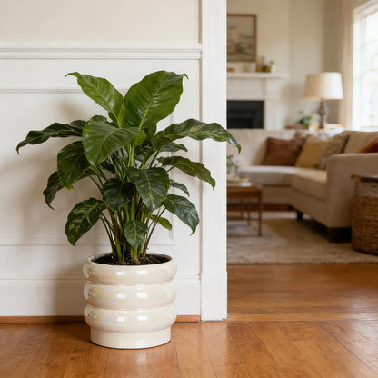 YFFSRJDJ 8 Inch Ceramic Plant Pots for Indoor Plants, White Flower Pot, Rainbow Pearl Glaze Planter with Planters for Plants with Drainage Hole