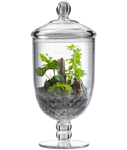 Moflekja Apothecary Jar with Airtight Lid in Premium Acrylic Plastic, Decorative Weddings Candy Buffet, Elegant Storage Jar, 50-Ounce