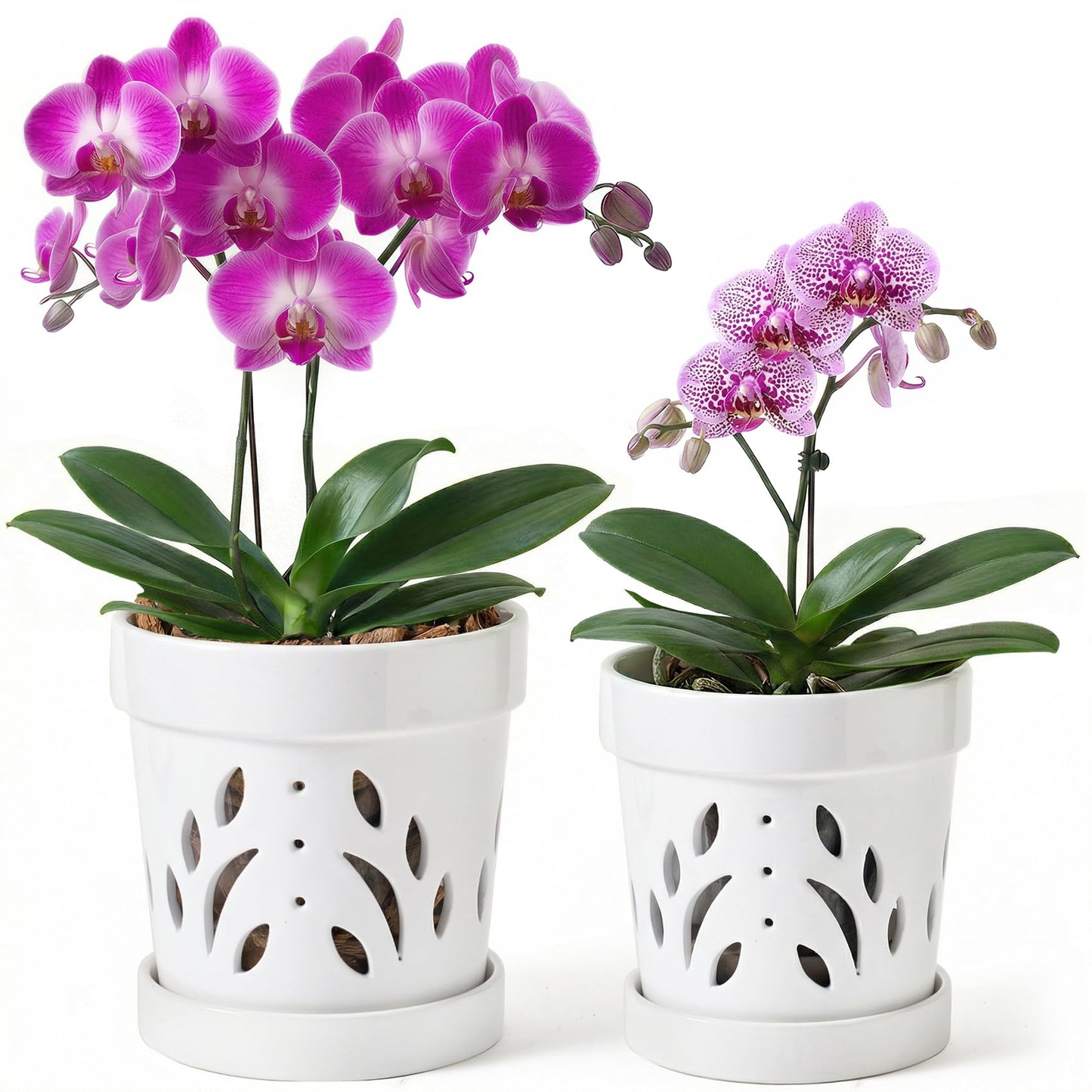 STHIE Orchid Pots, 5 + 6 Inch Ceramic Orchid Pots with Holes, Orchids Planter for Repotting, 2 Pack Promoting Air Circulation, White Flower Pots with Removable Trays