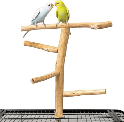 Natural Wood Bird Perch for Top of Cage, Cage Top Perch Play Stand for Parakeets, Cockatiels, Lovebirds and Small Conures, Multi-Level Training Branch for Small Medium Birds