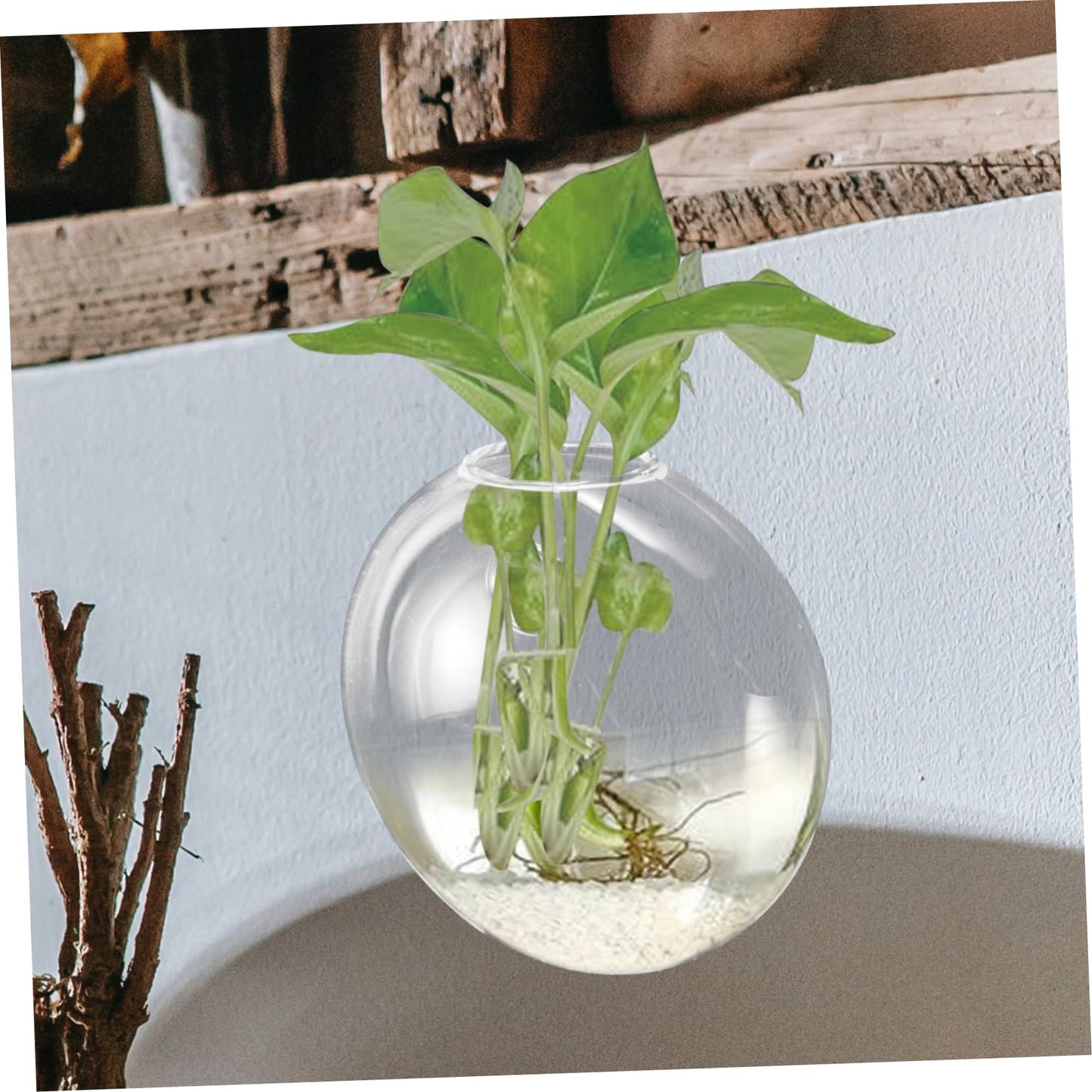 VICASKY Wall Hanging Hydroponic Glass Planter Vase for Plants Transparent Space Saving Terrarium for Home Office Garden Decoration Easy to Match Modern Wall Mounted Flower Vase