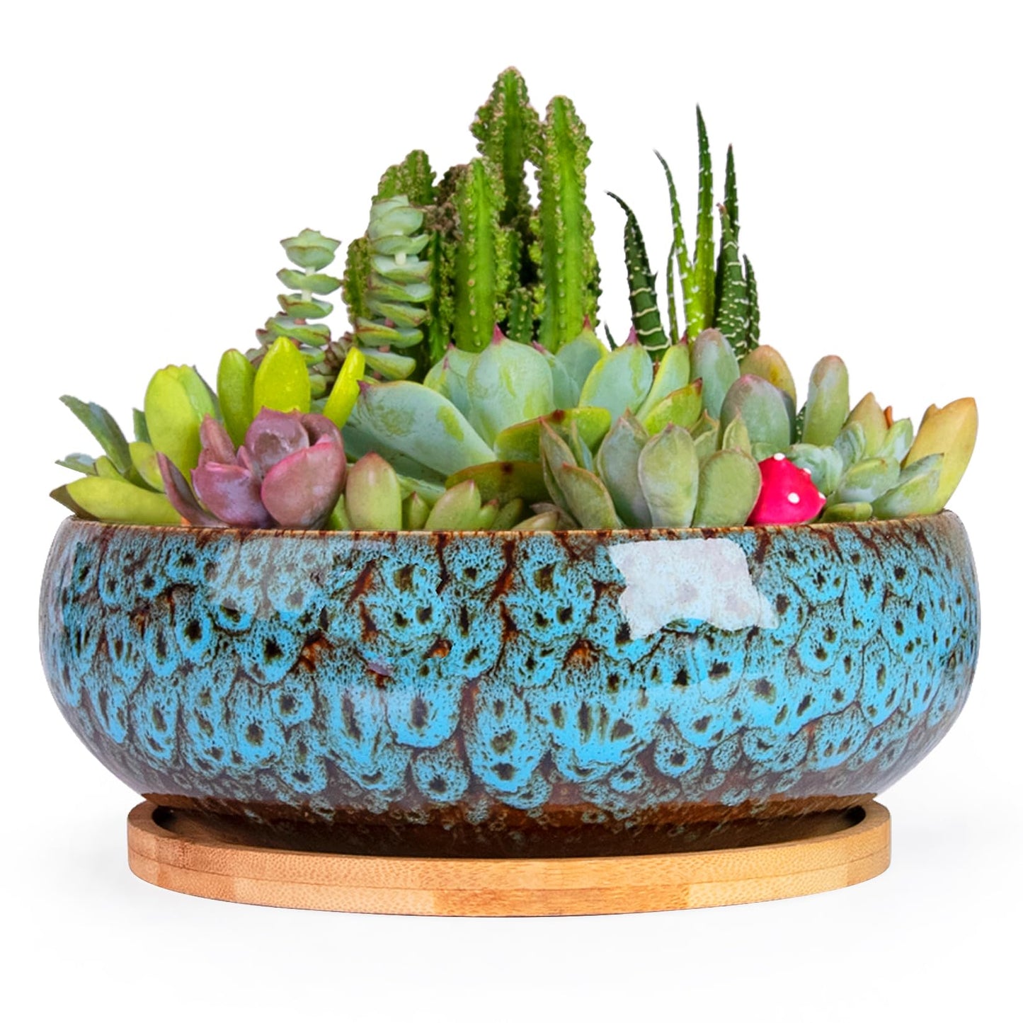 ARTKETTY Succulent Pots - 7.5 Inch Large Plant Pot with Bamboo Tray, Shallow Bonsai Pots with Drainage, Ceramic Planter for Indoor Plants, Cactus, Home Office Desk Decor