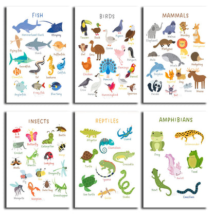 6 Pieces Laminated Educational Preschool Posters for Toddlers,Educational Wall Charts,School classroom Posters,Class decorations for Kindergarten- FISH,BIRDS，MAMMALS，INSECTS,REPTILES，AMPHIBIANS.(No