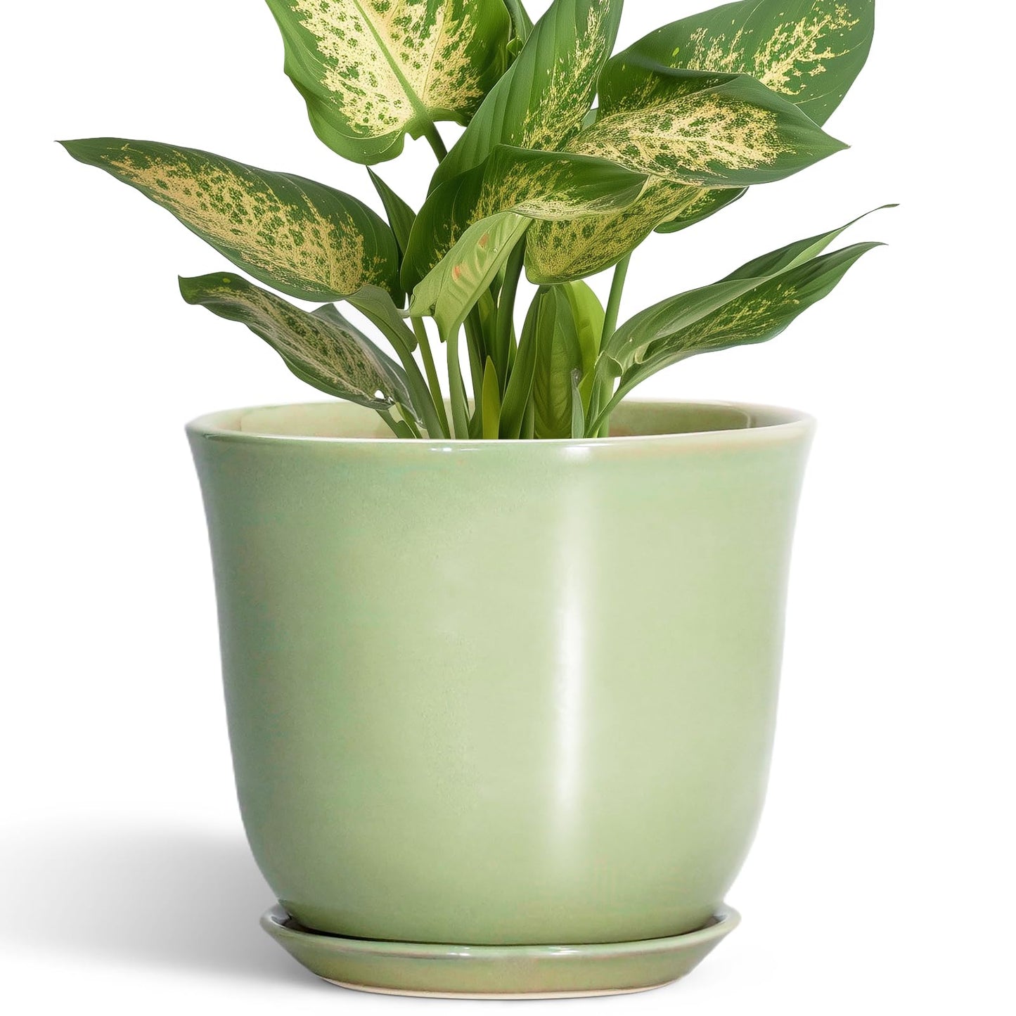 SUNPOTFOR 5.6 Inch Plant Pot - Ceramic Pots for Plants Indoor Outdoor, Round Orchid Succulent Pot with Drainage Hole and Saucer, Modern Small Planter, Home Room Window Decor, Plants Lover Gift, Green