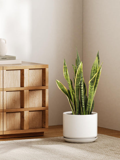 LE TAUCI Ceramic Pots for Plants, 10 Inch Plant Pot with Drainage Hole & Saucer, Sturdy & Modern Planters for Indoor Plants, Includes Mesh Screen, Fits Snake Plant & Monstera, White