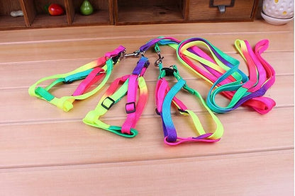 Hypeety Pet Bird Harness and Leash with Buckle Adorable Rainbow Design Safe Parrot Leash Pet Harness Outdoor Adjustable Anti Bite Training Rope for Macaw Large Size Bird (1.5cm × 47.24in)