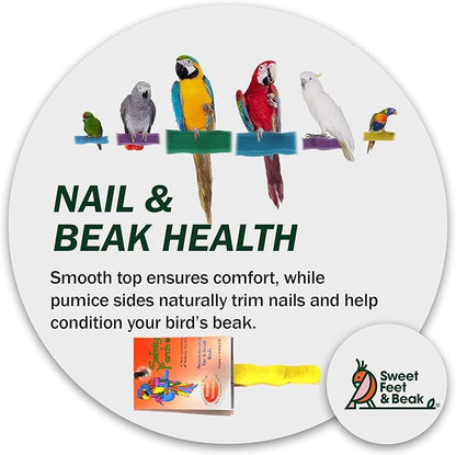 Sweet Feet and Beak Comfort Grip Safety Perch for Bird Cages - Pedicure Perch for Birds to Keep Nails and Beaks in Top Condition - Safe Easy to Install Bird Cage Accessories Small 6.5" - Green