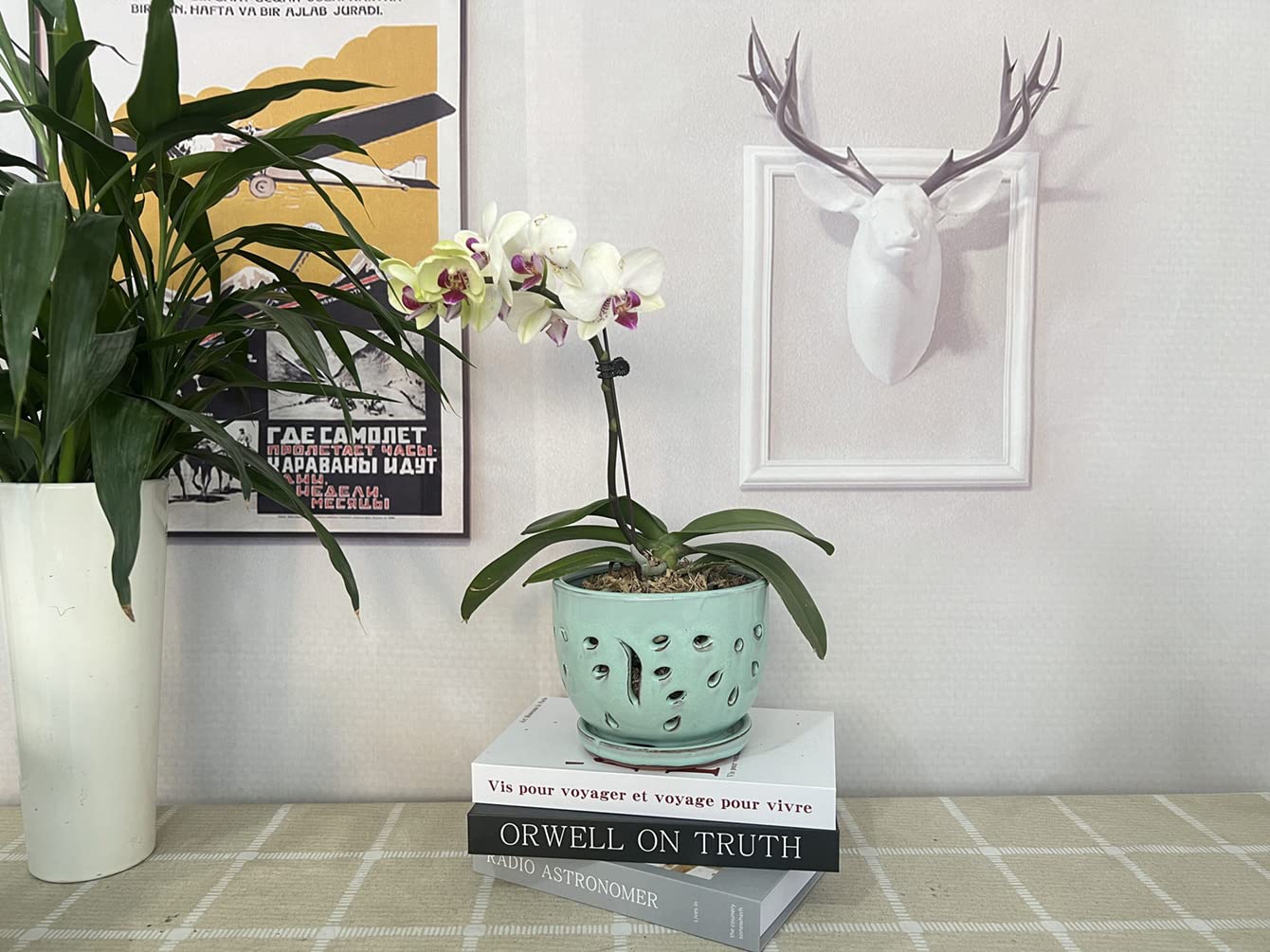 Beitewei Orchid Pots with Holes Round Ceramic Flower Container Succulent Plant Planter Butterfly Pot Saucer Windowsill Contemporary Home Decoration (6 Inch, Light Green)