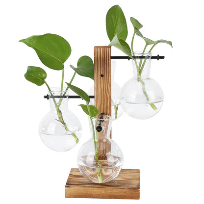 Glass Planter Bulb Vase, Innovative Hydroponic Vase Desktop Plant Terrarium Kit with Wooden Stand Transparent Desktop Flower Vase for Home